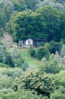 20120730_111812 Chiesa di Bedolina tra le piante.jpg